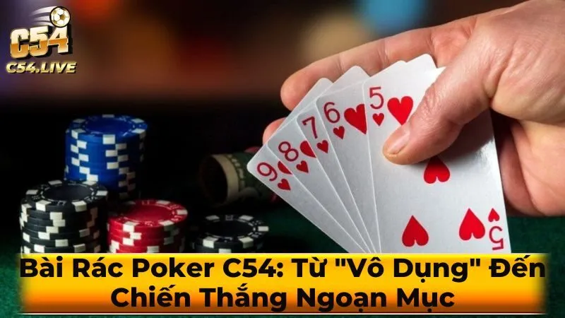 Cách Nhận Biết và Xử Lý Bài Rác