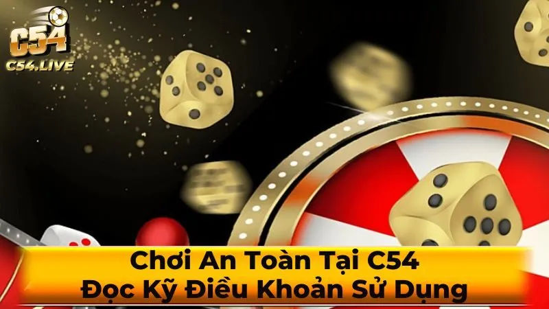 Cam kết của người dùng khi sử dụng dịch vụ