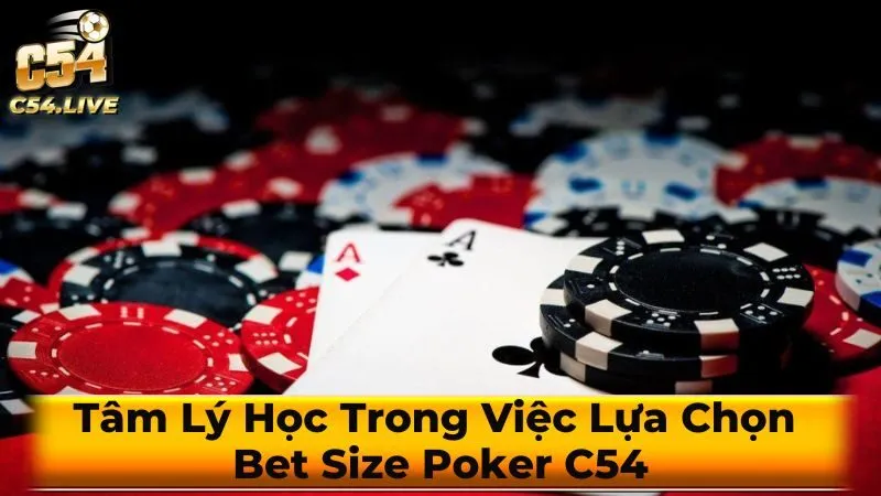 Các yếu tố ảnh hưởng đến việc chọn bet size